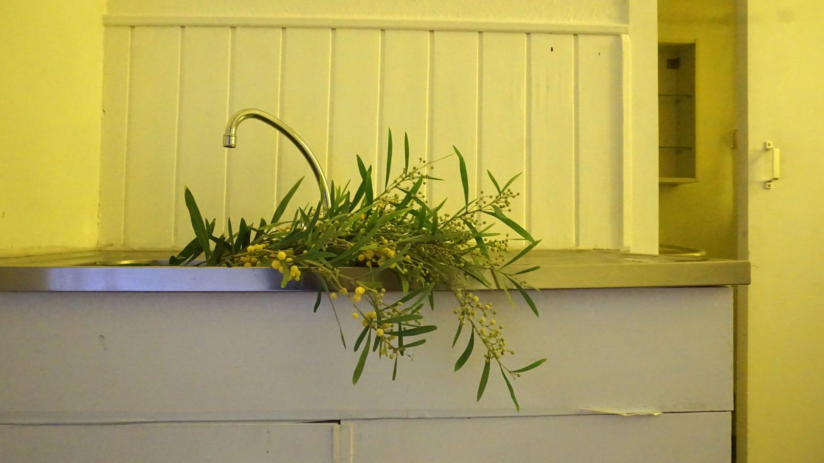 Hier en nu in België