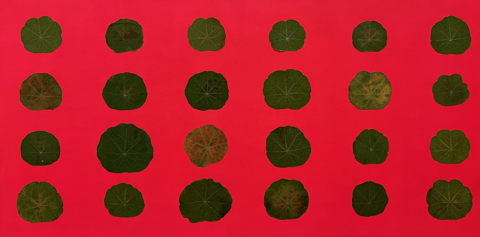 OCTA II groeit verder in Kunstliefde