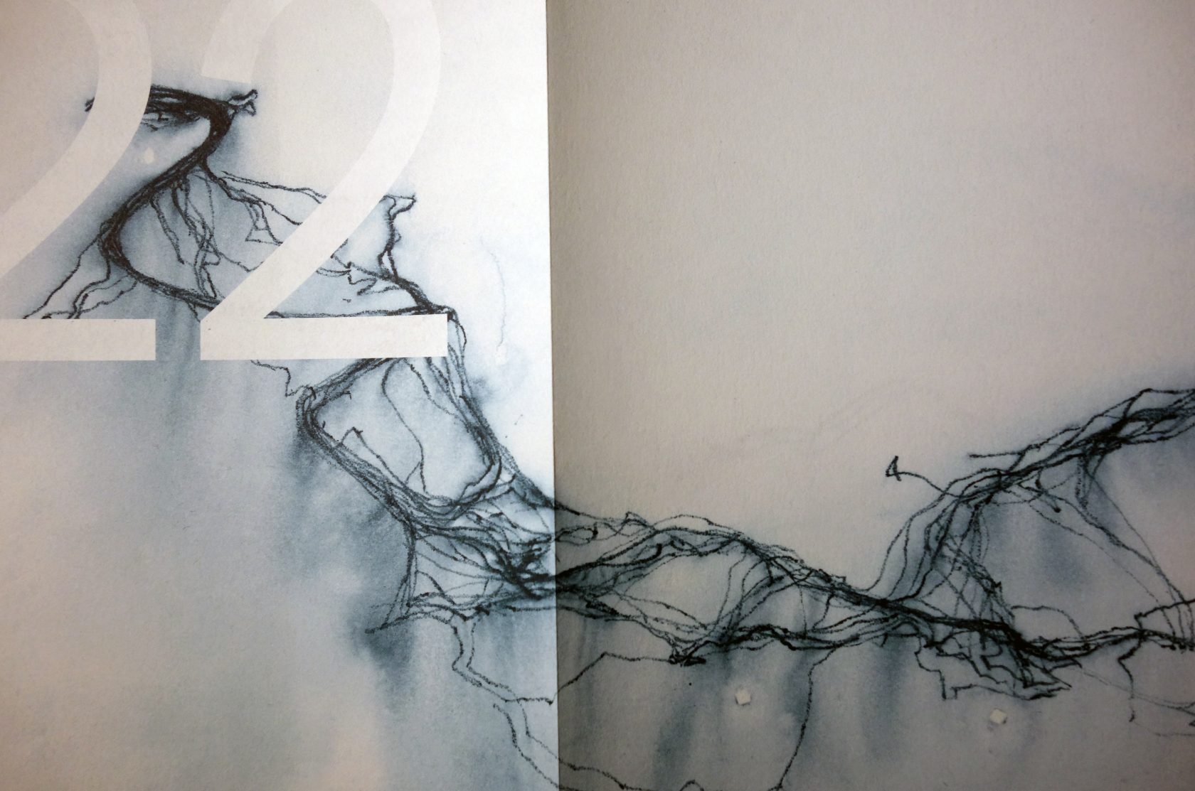 Hoe gracieus graast een koe?