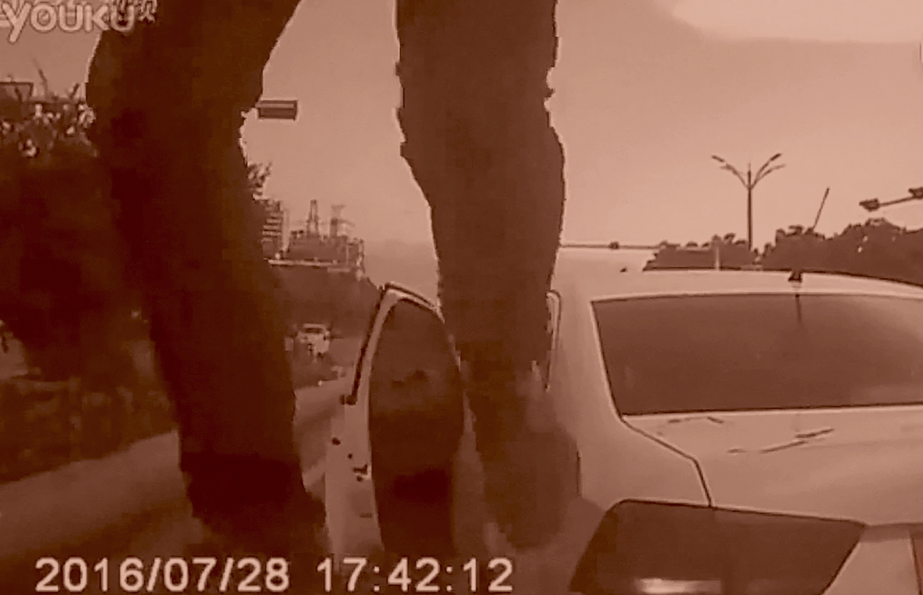 Aftellen tot 25 januari (10) – Dragonfly eyes