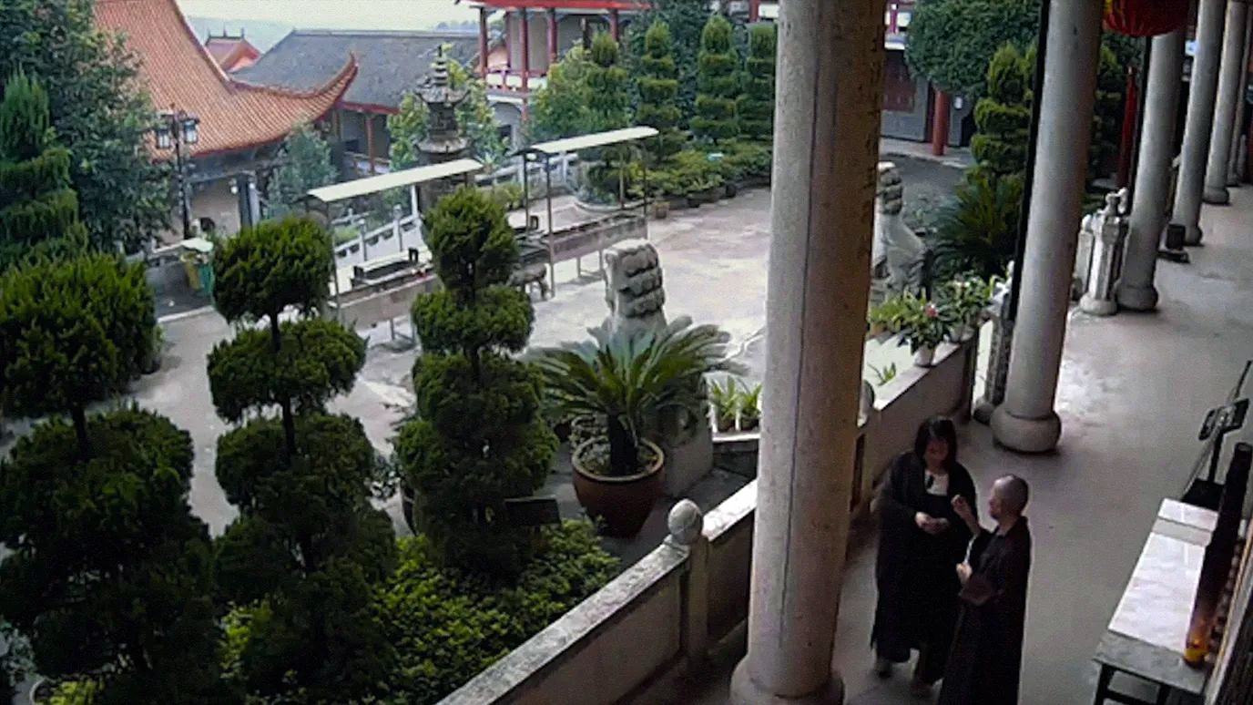 Aftellen tot 25 januari (10) – Dragonfly eyes