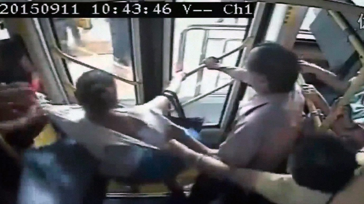 Aftellen tot 25 januari (10) – Dragonfly eyes