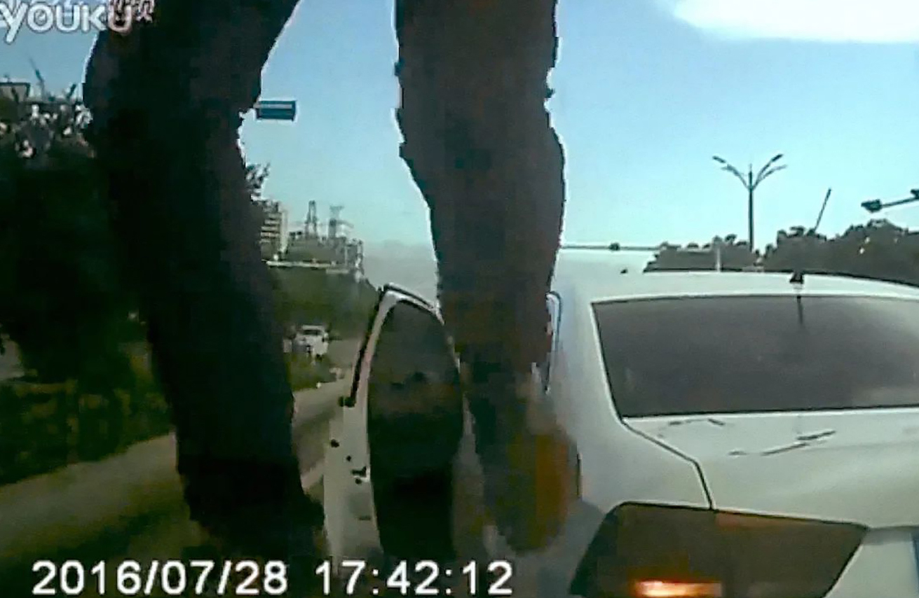 Aftellen tot 25 januari (10) – Dragonfly eyes