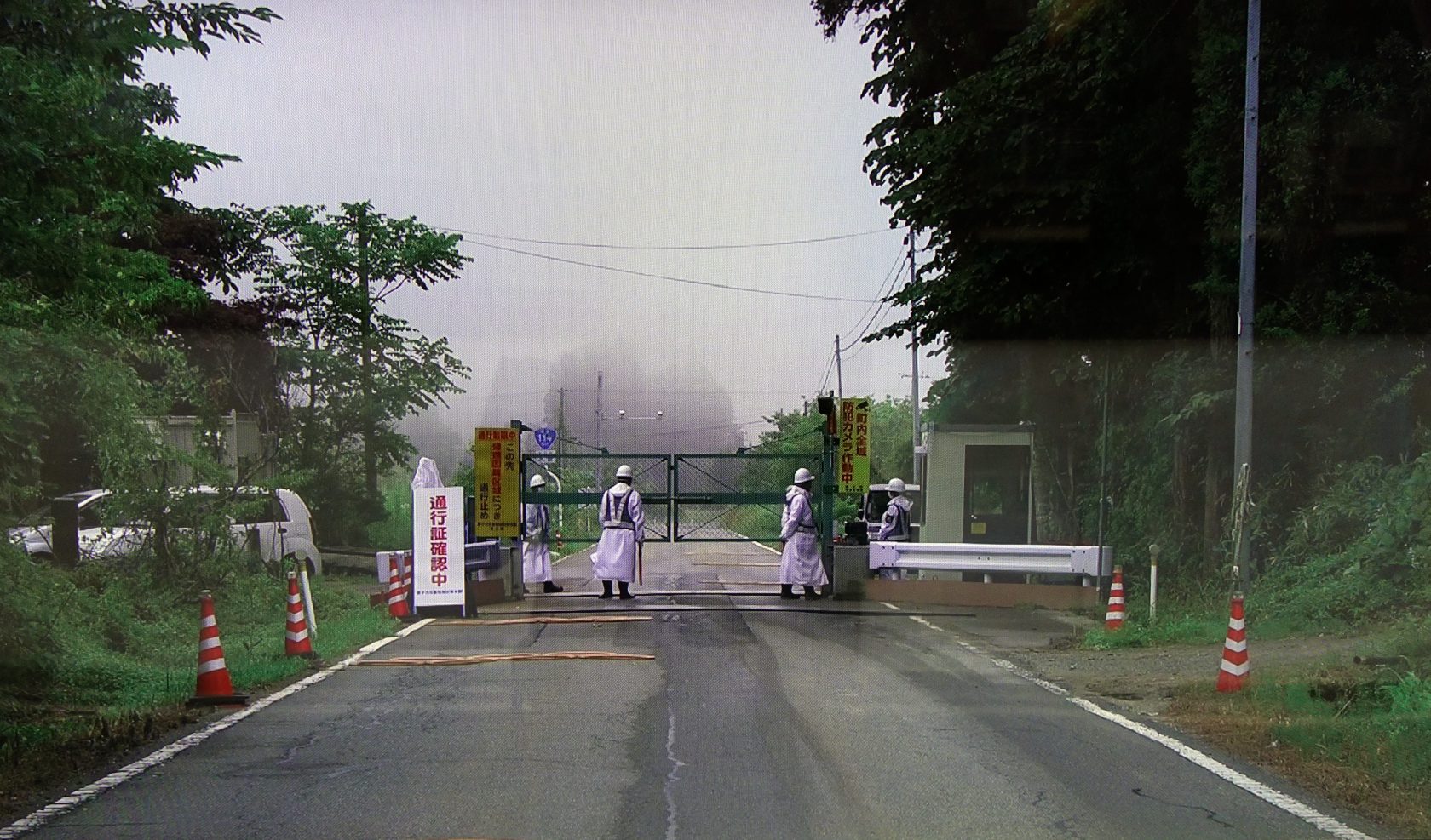 De kwaadaardige schoonheid van radioactieve bomen