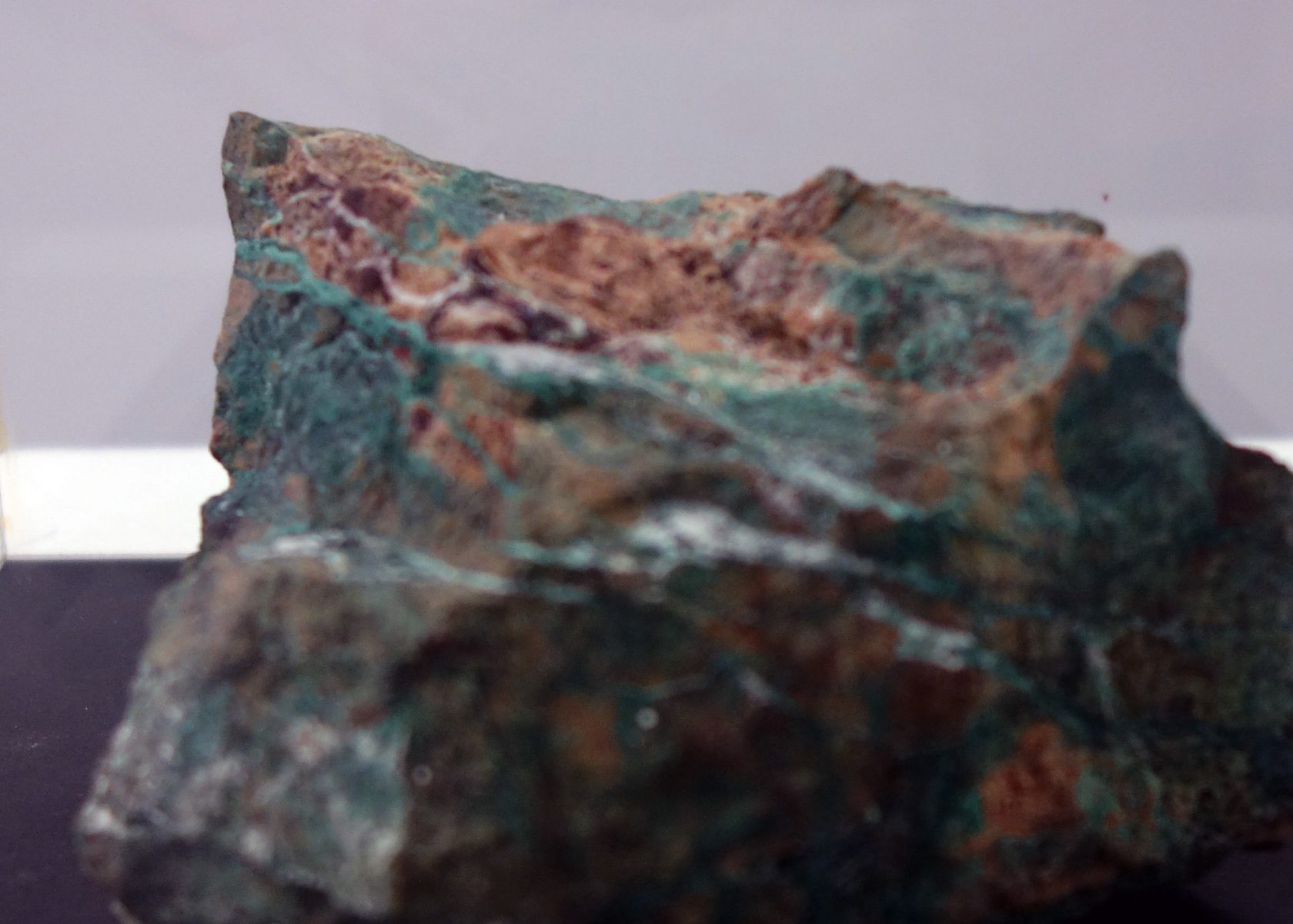 De kwaadaardige schoonheid van radioactieve bomen