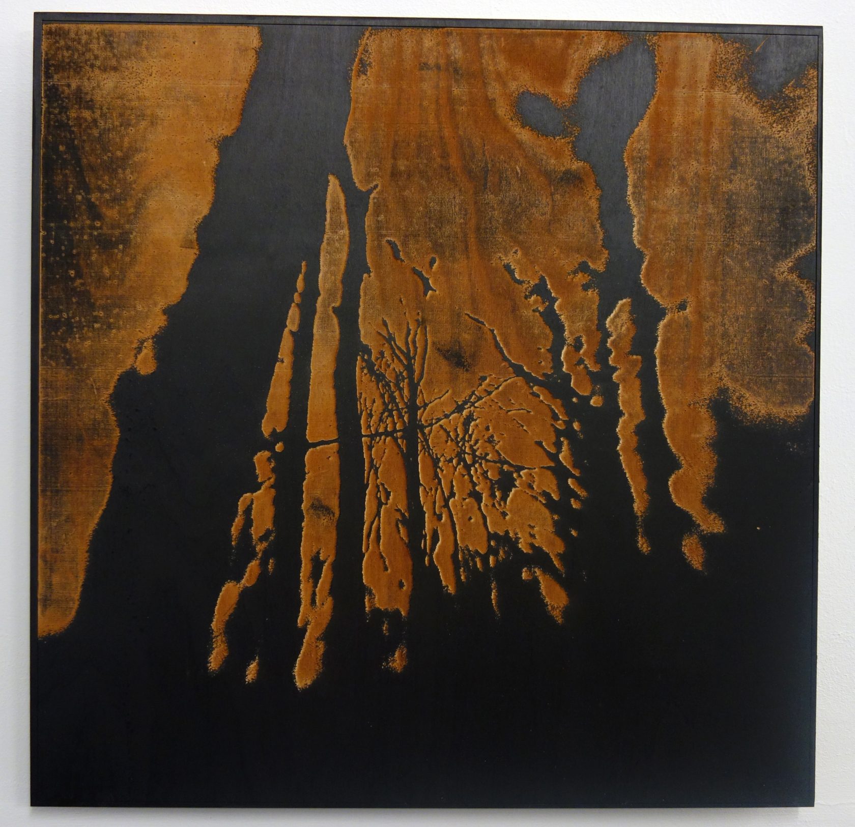 De kwaadaardige schoonheid van radioactieve bomen