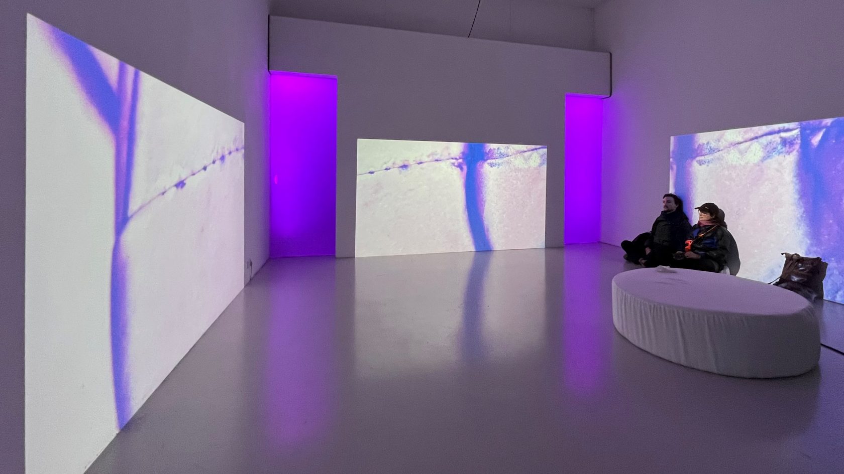 Proximity Music: @ Rewire – op zoek naar de leegte in de drukte