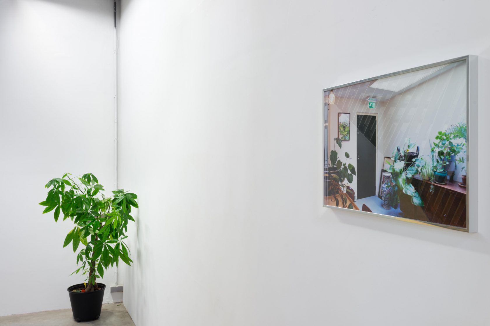 Stroom Invest interview / artist Alexander Webber