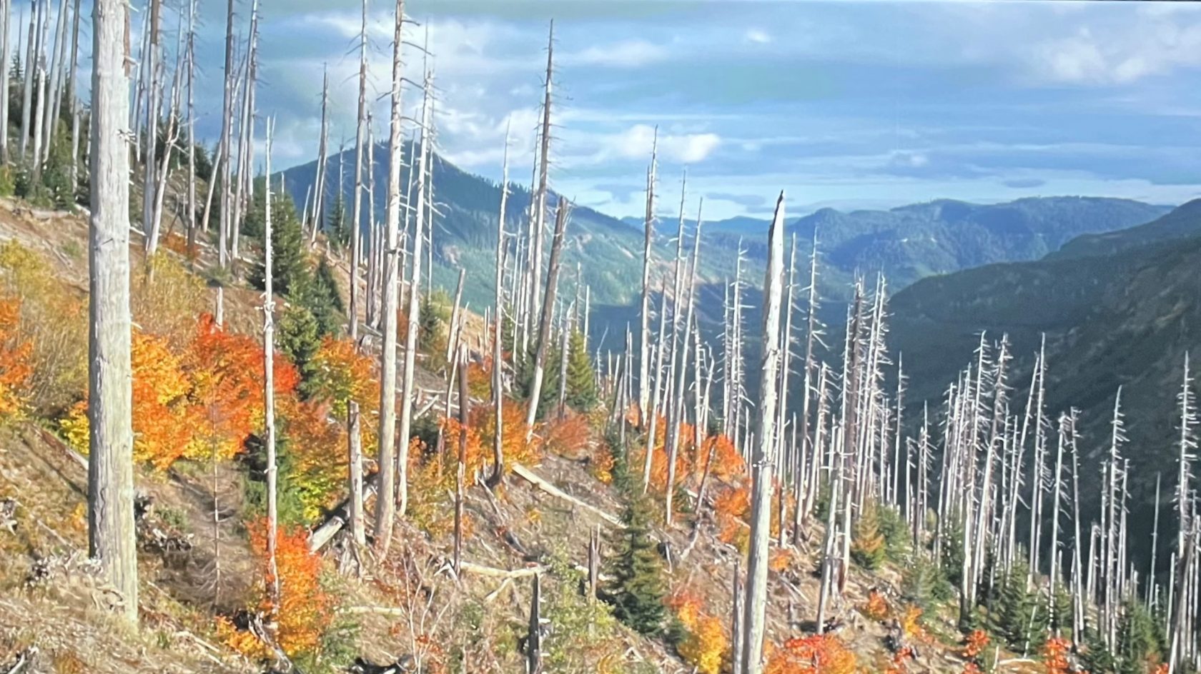 Palpable Futility @ Eye