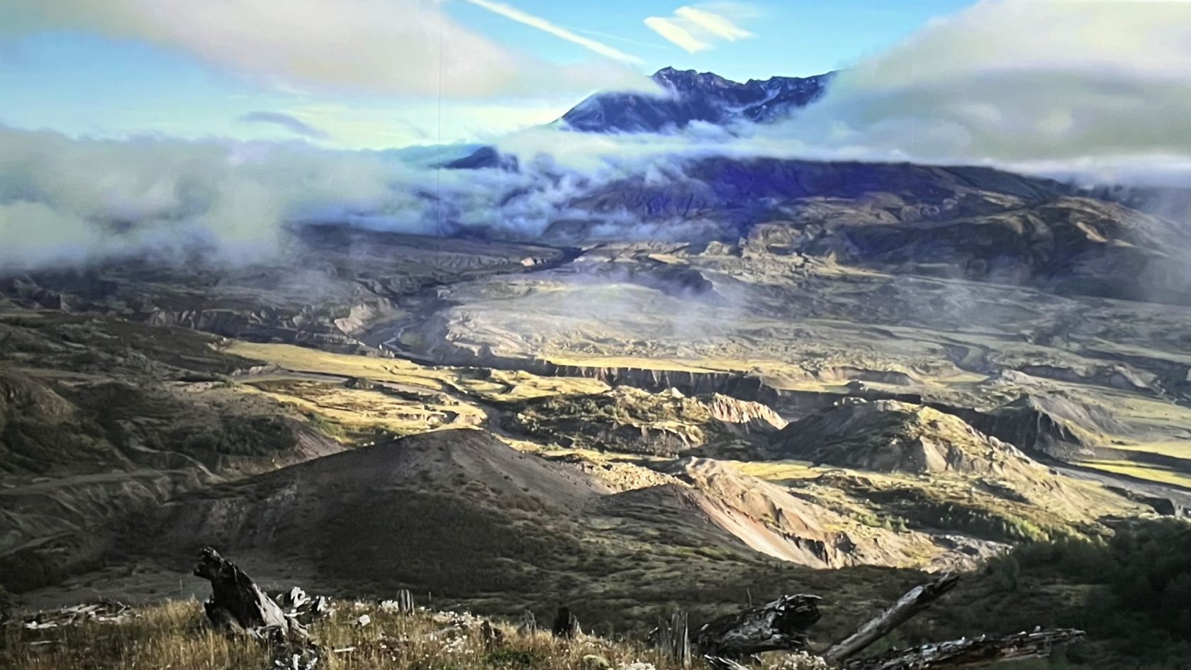 Palpable Futility @ Eye