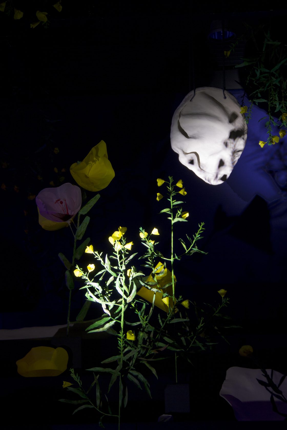 Stroom Invest interview / artist Leonie Brandner