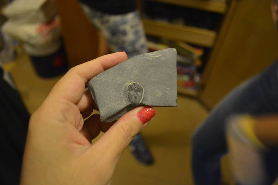 Stroom Invest interview / artist Gabriela Acha