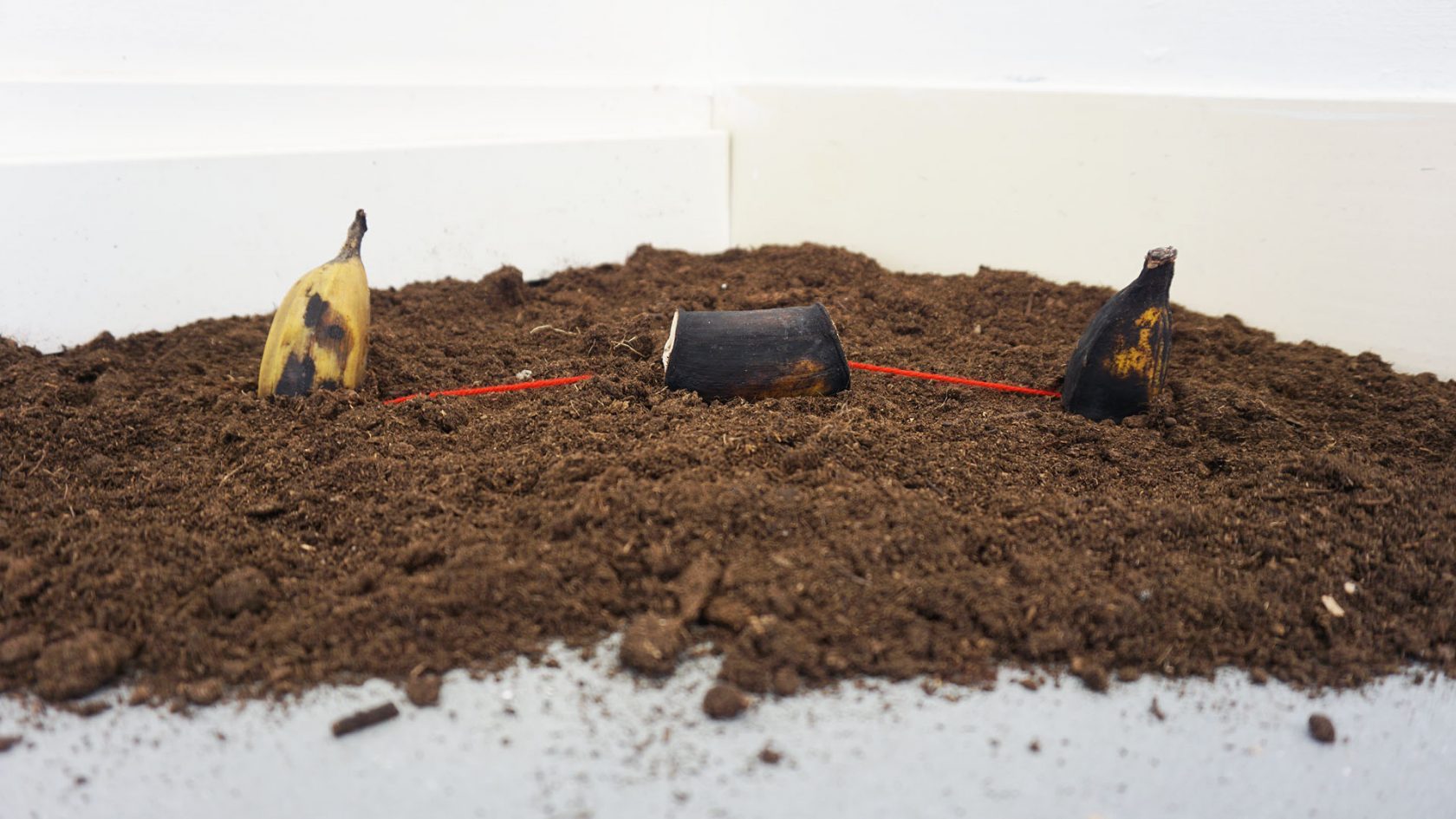 Bakbananen en onderwaterbeton in Leeuwarden