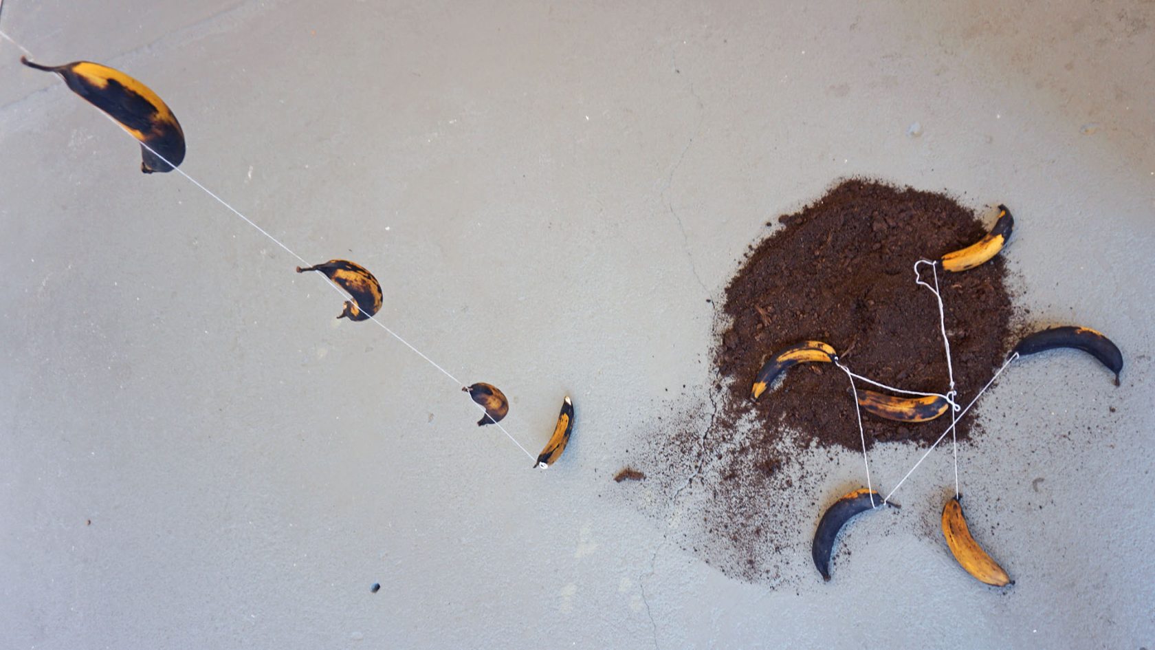 Bakbananen en onderwaterbeton in Leeuwarden