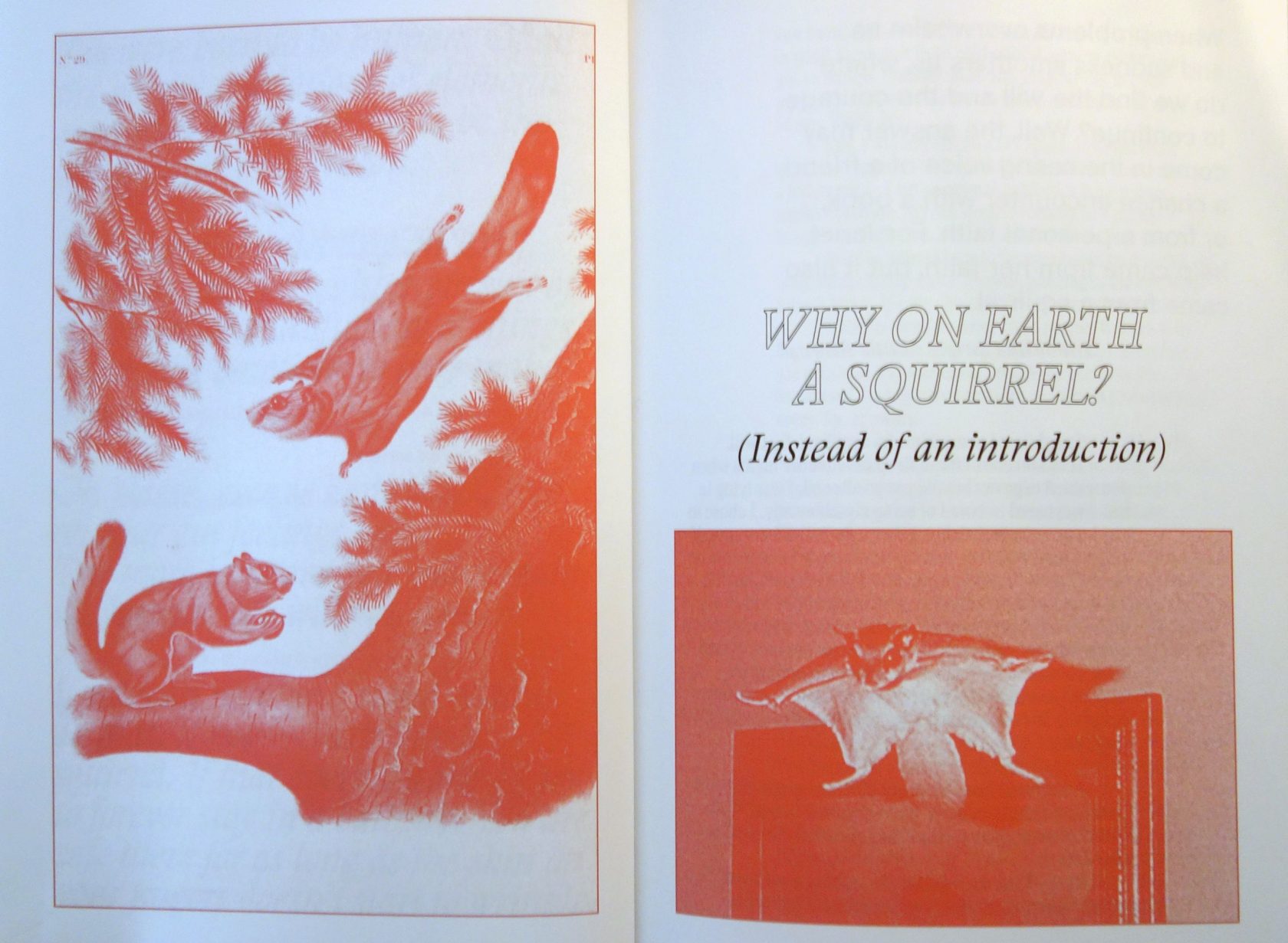 Stroom Invest interviews / artist Katerina Sidorova