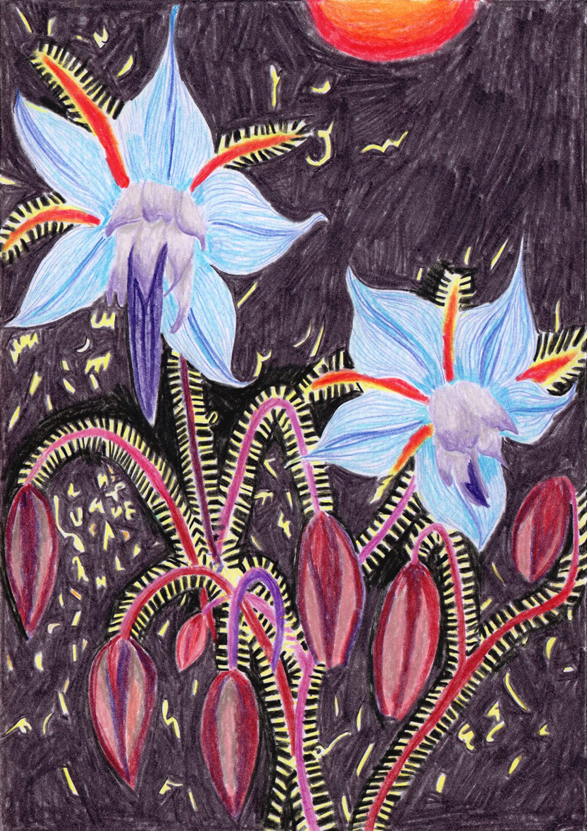 Stroom Invest interview / artist Alejandra López