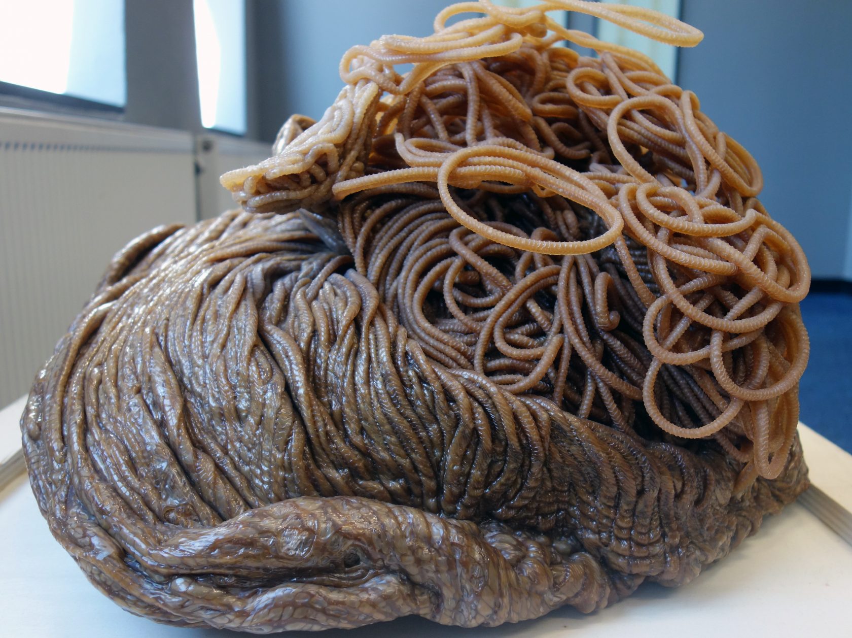 Kunst om chocolade van te maken in West Den Haag