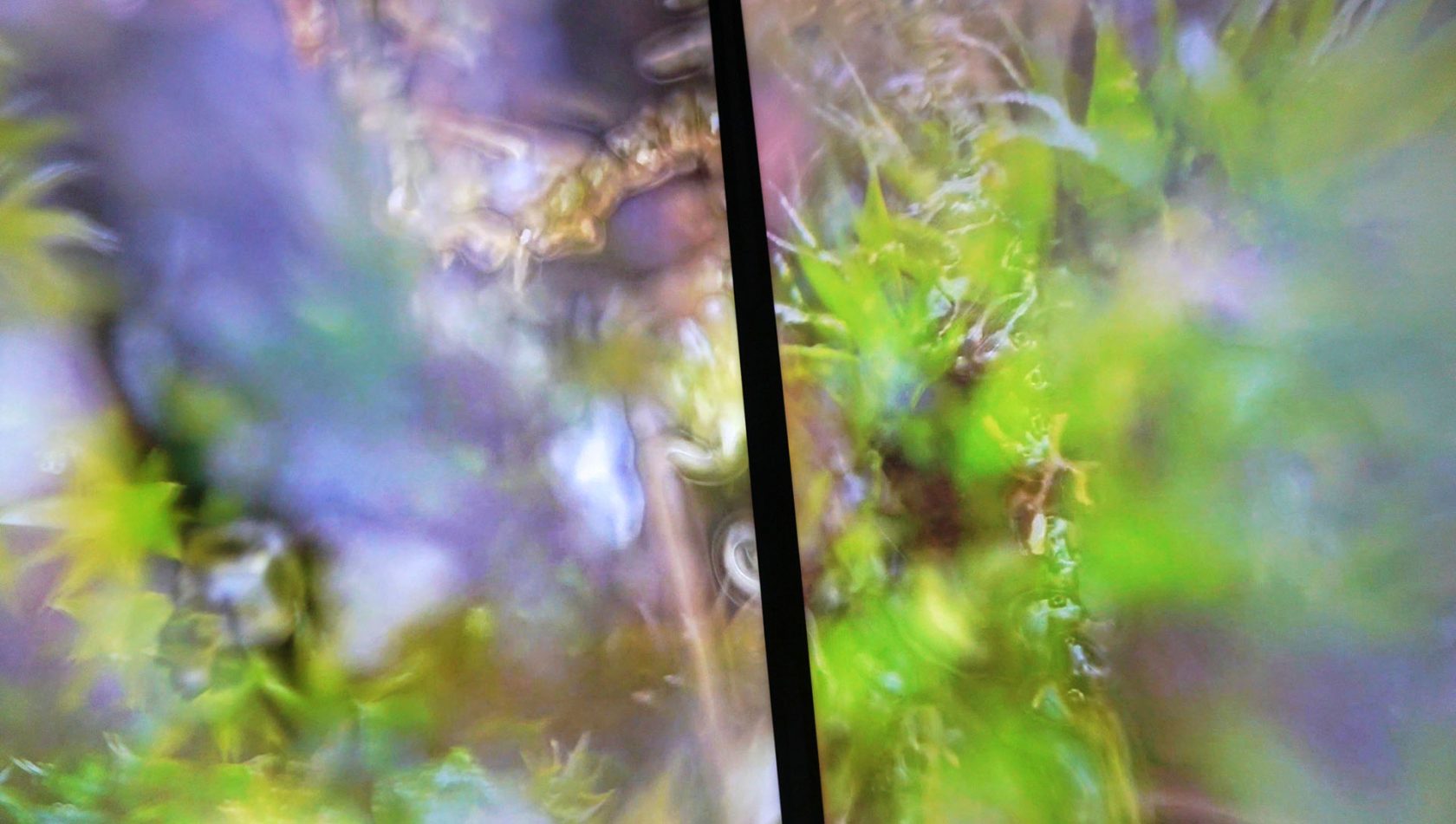 Verder muteren tijdens FIBER Festival