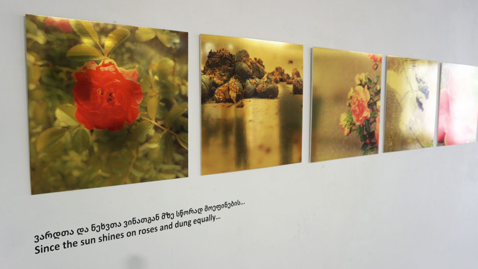 Back to normal or be alternative?