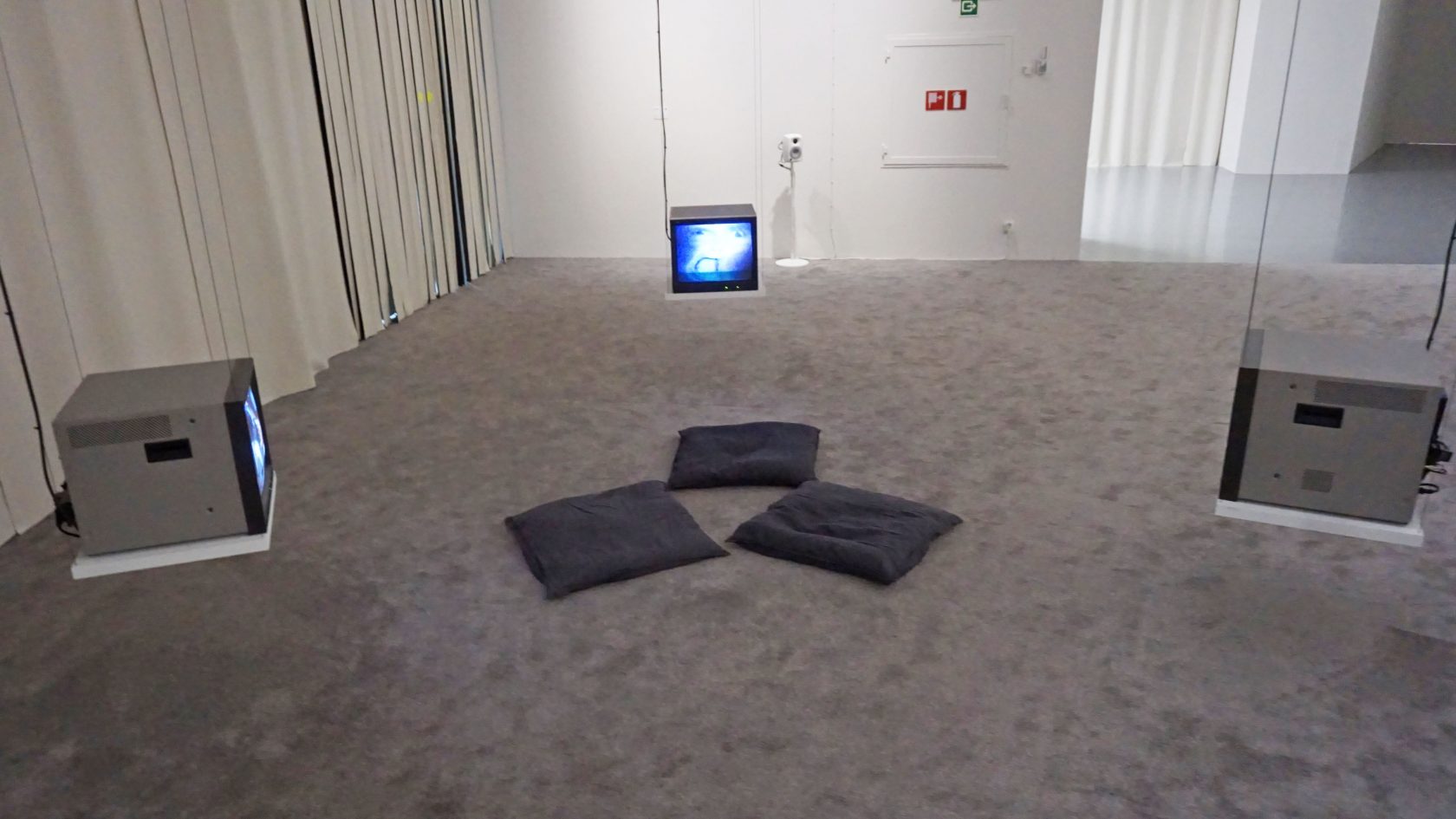 Lenin was a Mushroom en andere avonturen in M HKA