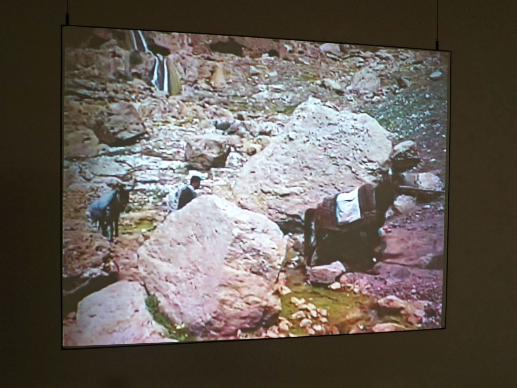 Lenin was a Mushroom en andere avonturen in M HKA