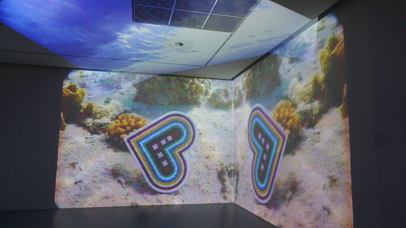 Lenin was a Mushroom en andere avonturen in M HKA