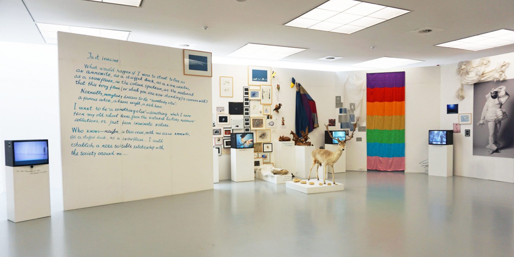 Lenin was a Mushroom en andere avonturen in M HKA