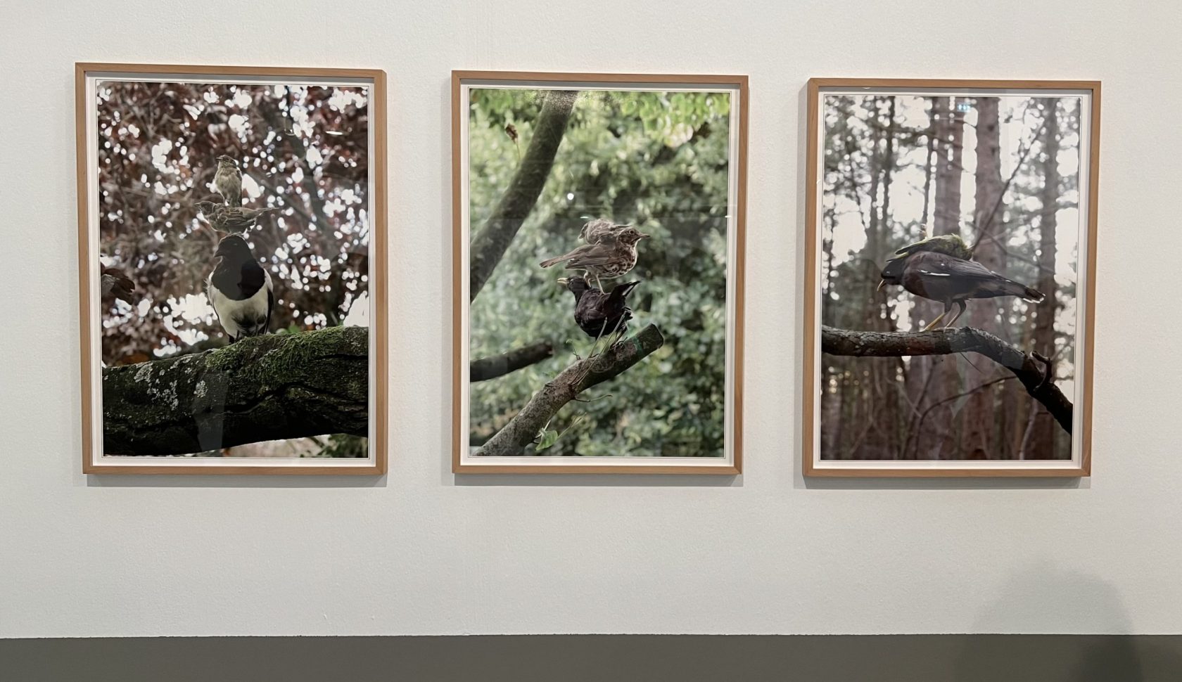 Sustainable Nature van Luuk Wilmering