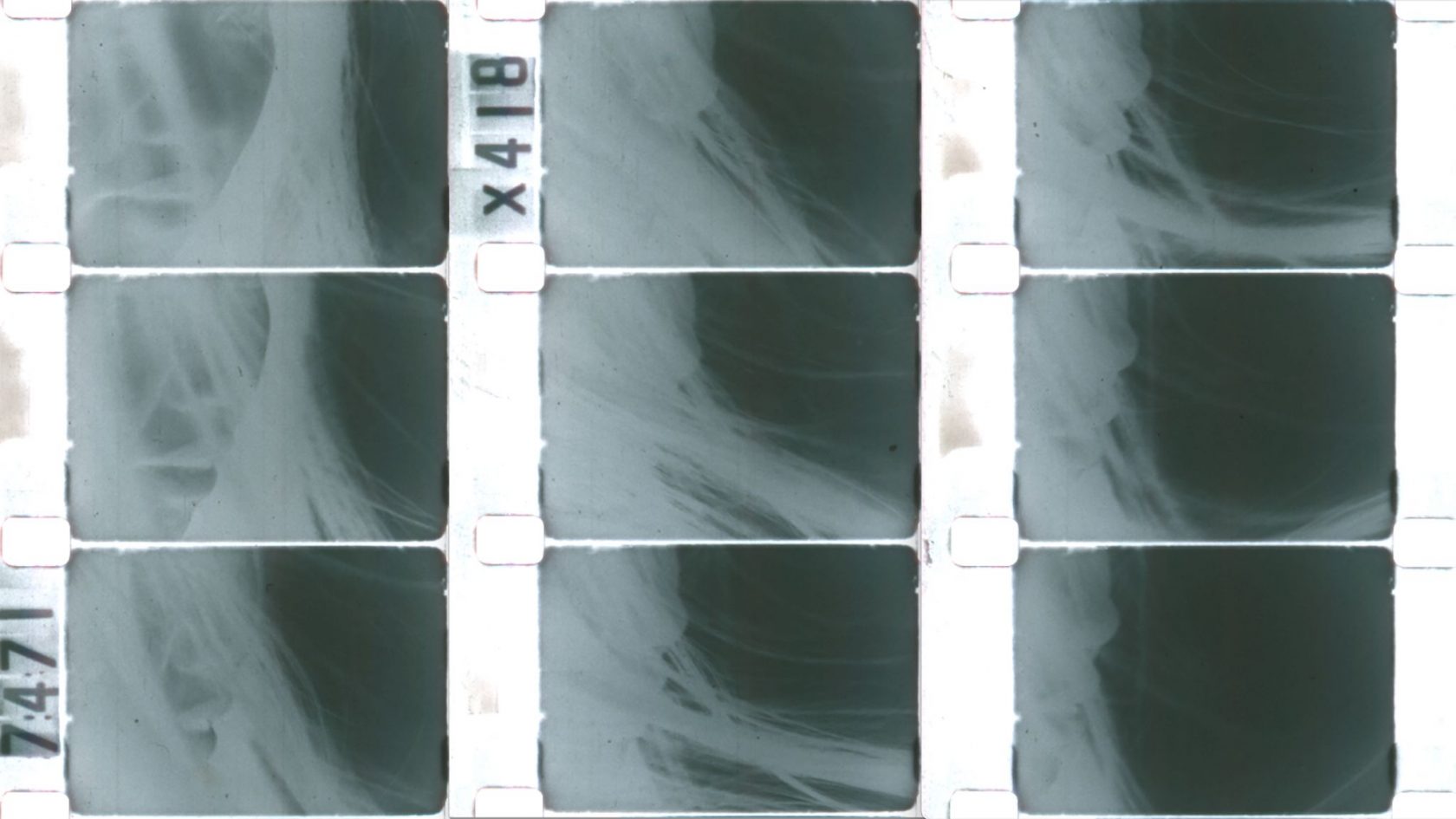 8 keer kunst op IFFR 2023