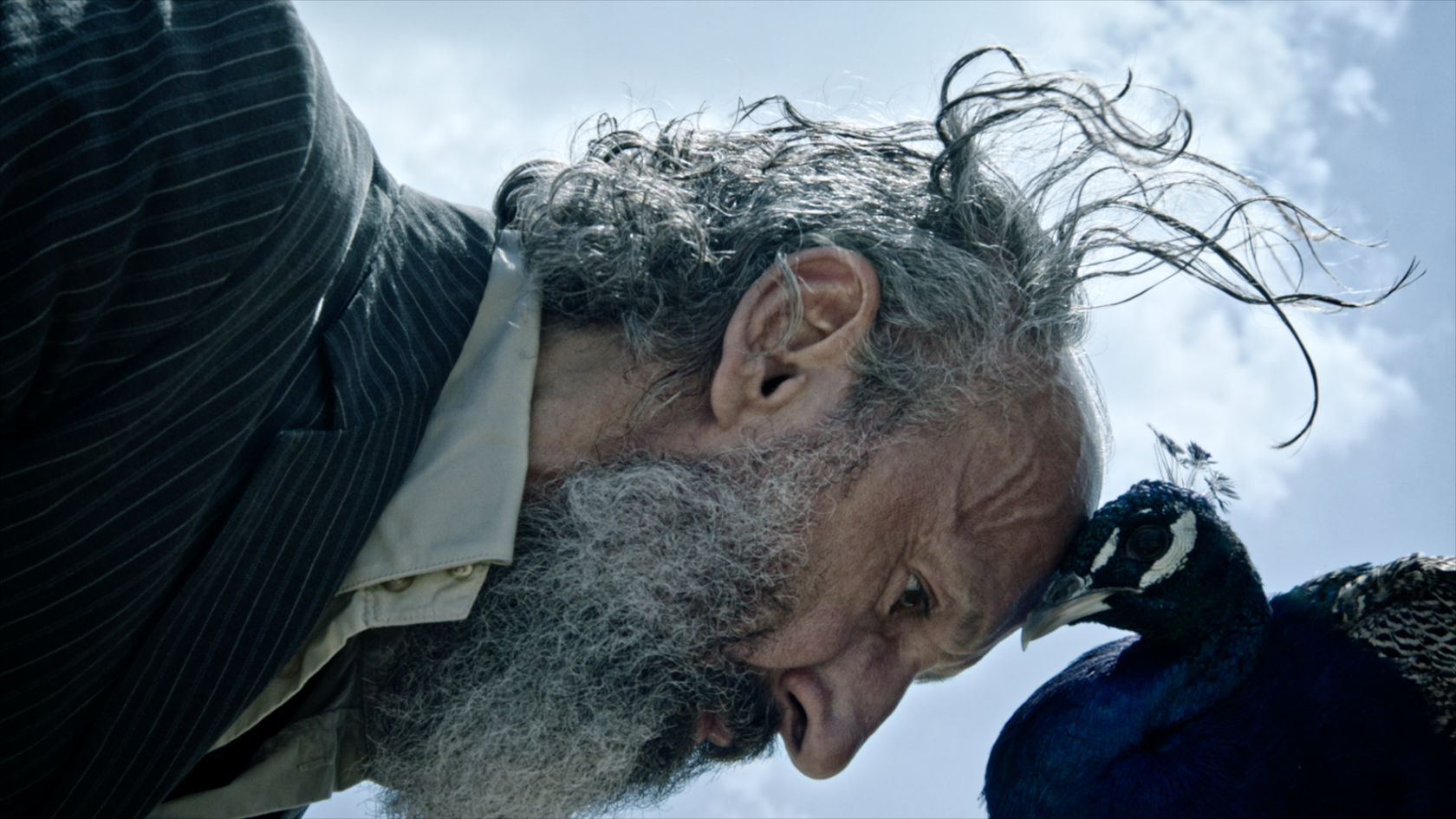 Een bijzondere ontmoeting met dieren