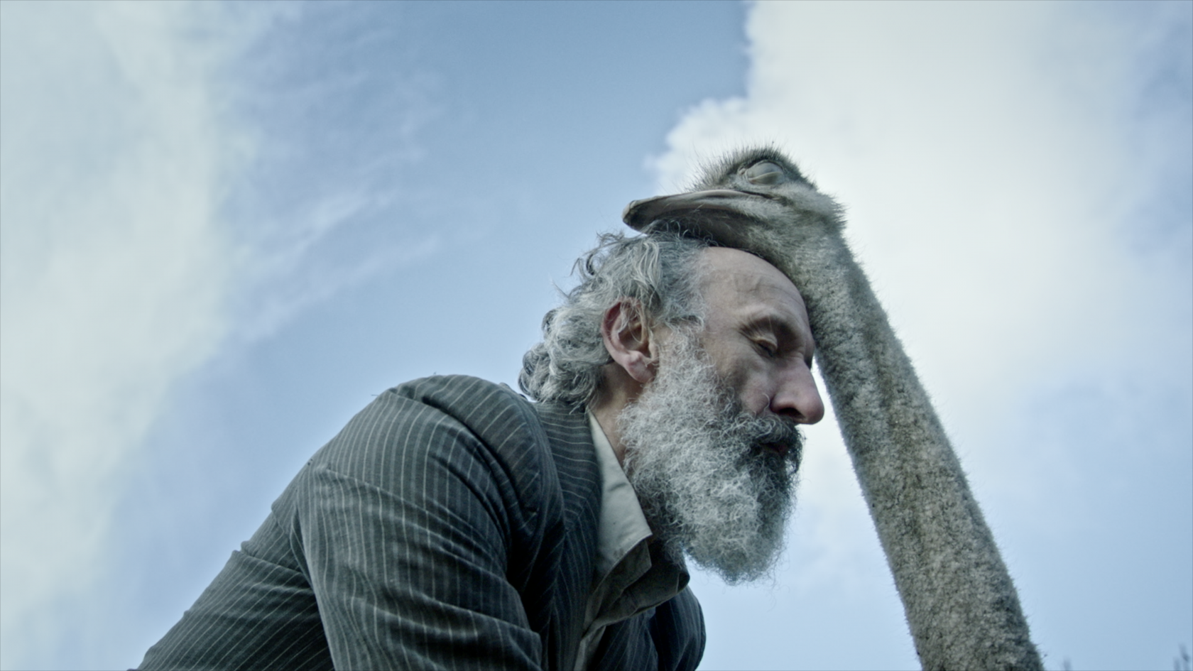 Een bijzondere ontmoeting met dieren