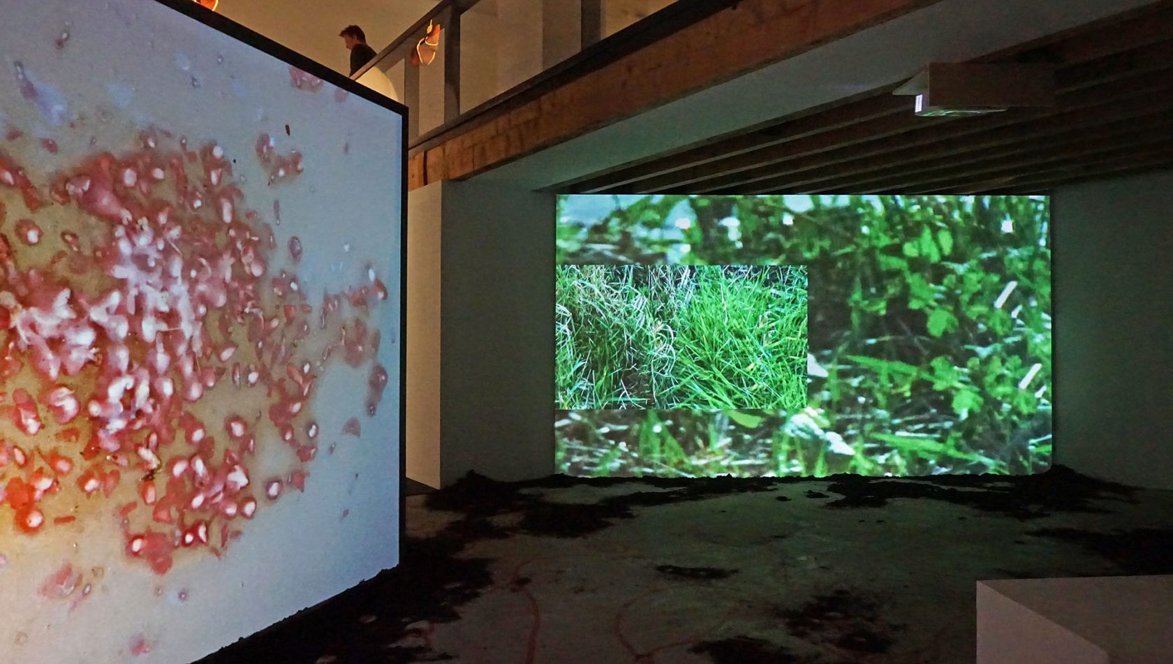 Hoogtij #72 – de ronde van Den Haag