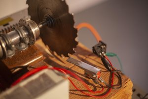 Staren naar navelstrengen in Seelab Scheveningen