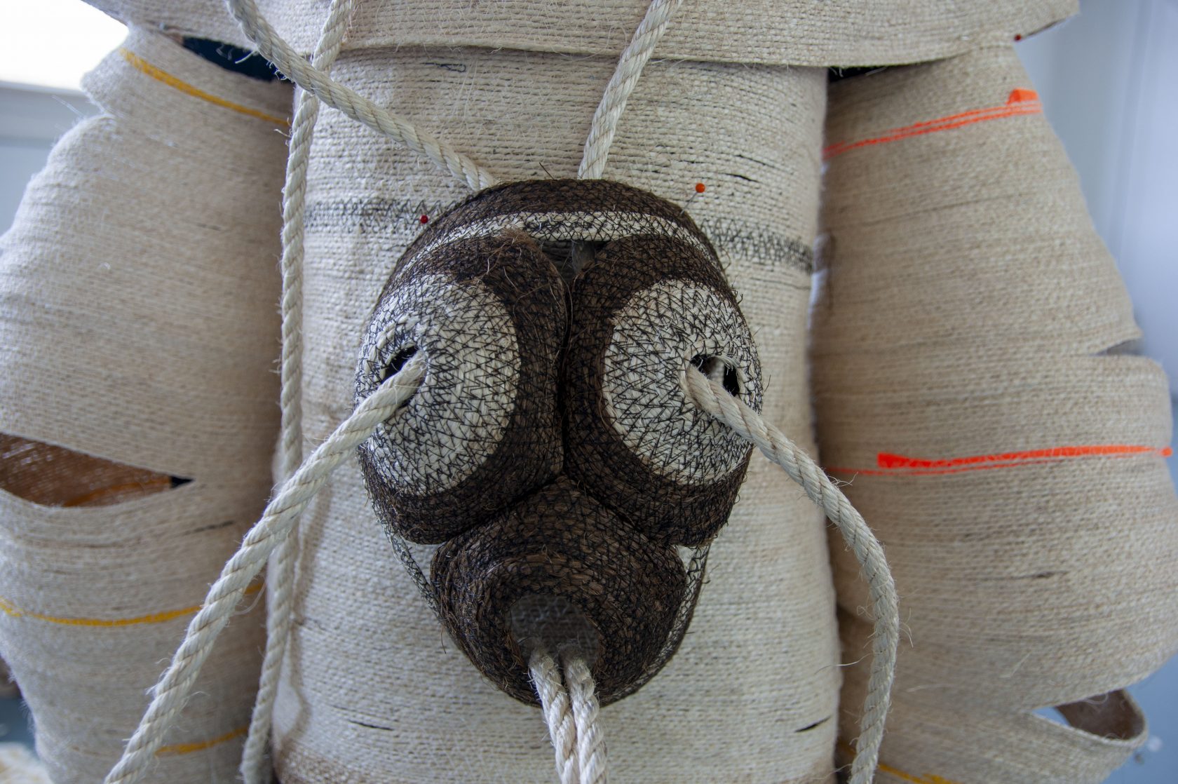 Staren naar navelstrengen in Seelab Scheveningen