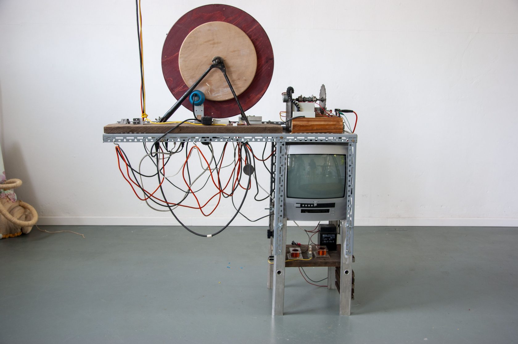 Staren naar navelstrengen in Seelab Scheveningen