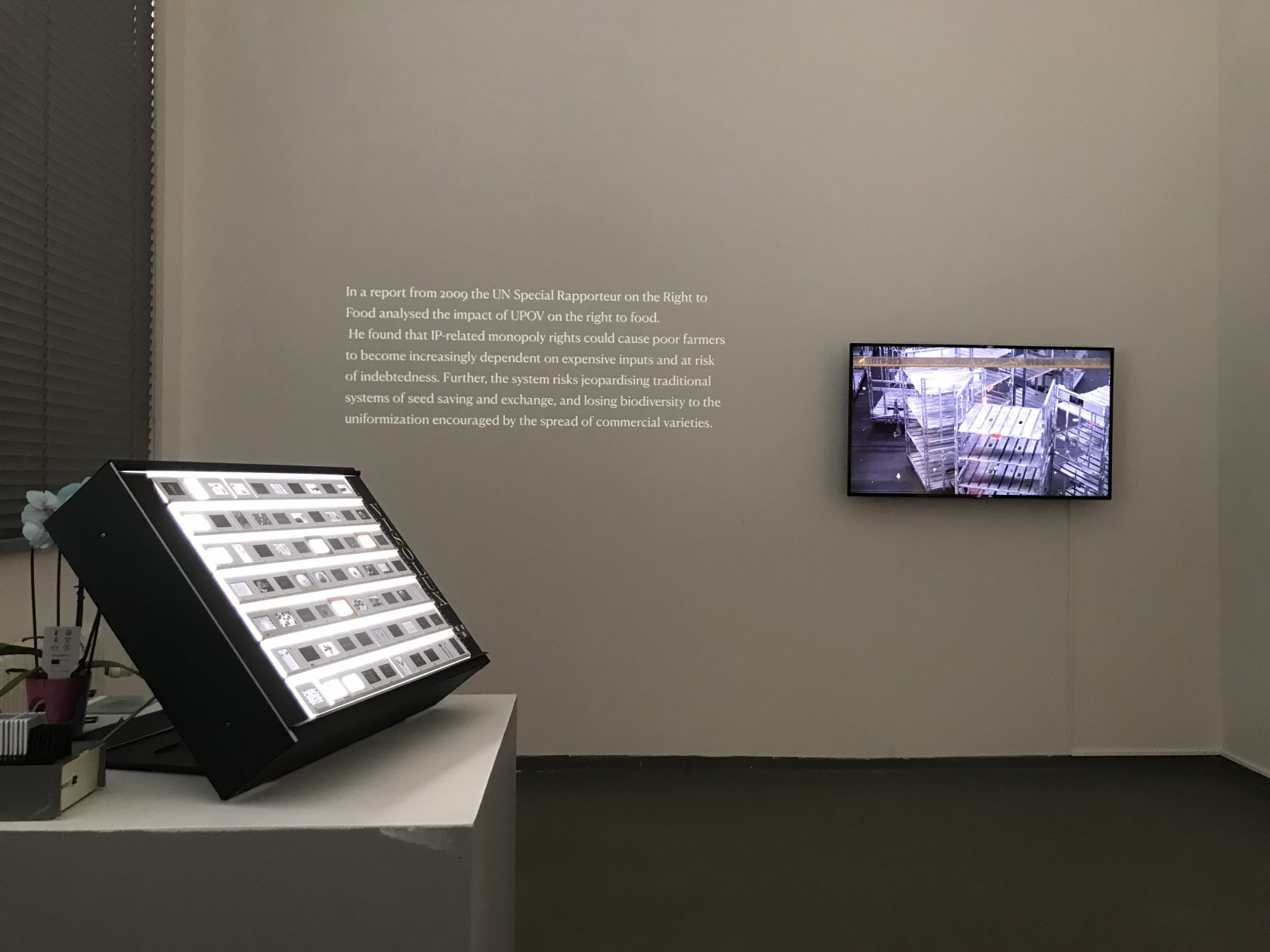 Open Studios Jan van Eyck