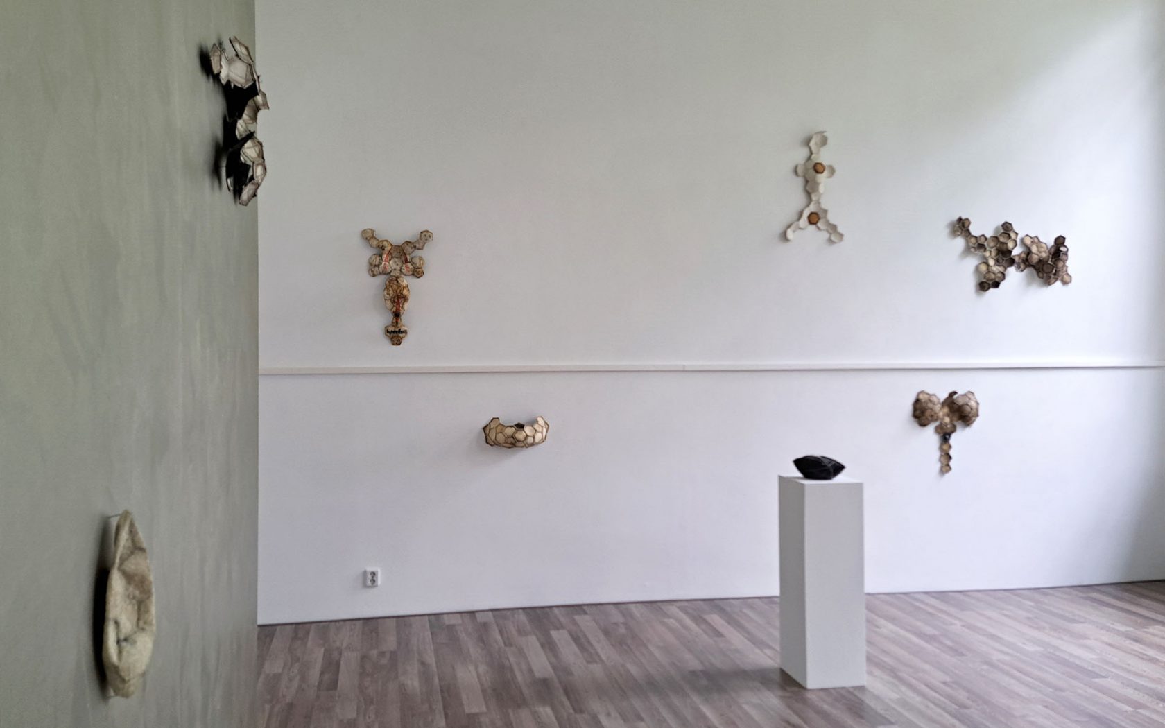 De bal was rond in Kunstlokaal No.8