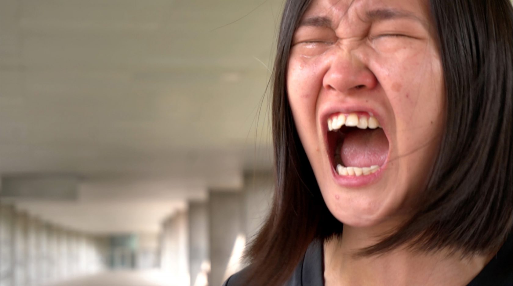 Rijksakademie Open Studios