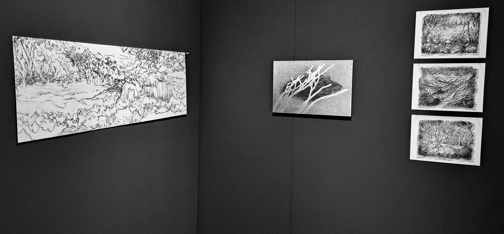 Tekenen naar de natuur bij Galerie Getekend