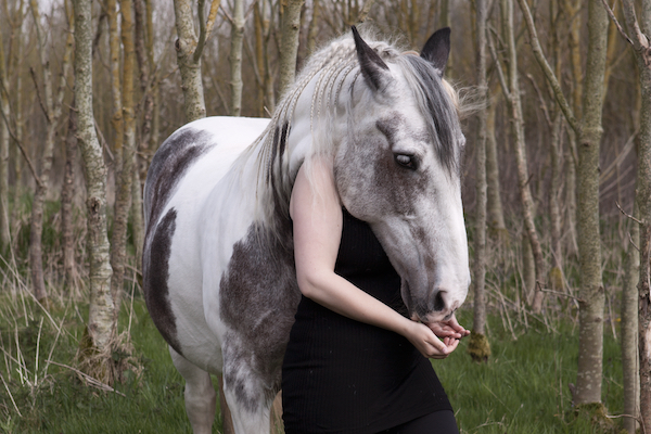 Het paard als spiritueel kunstwerk