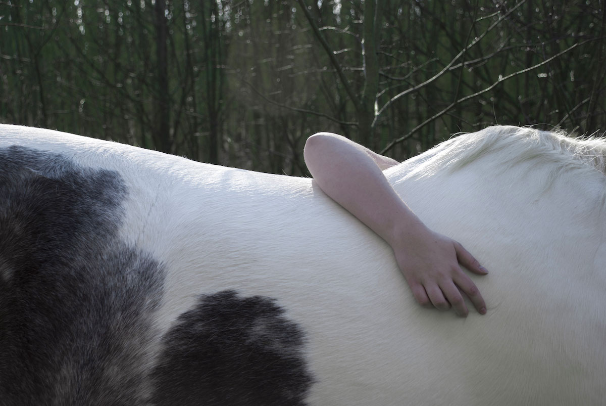 Het paard als spiritueel kunstwerk