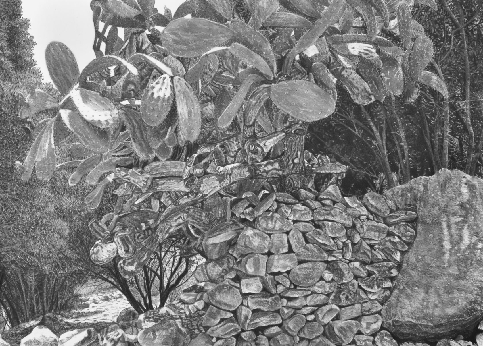 De roots van Samah Shihadi @ Museum MORE