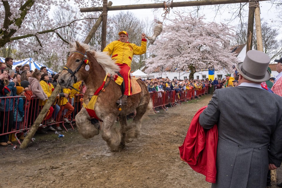 Nood aan een sociaal platform