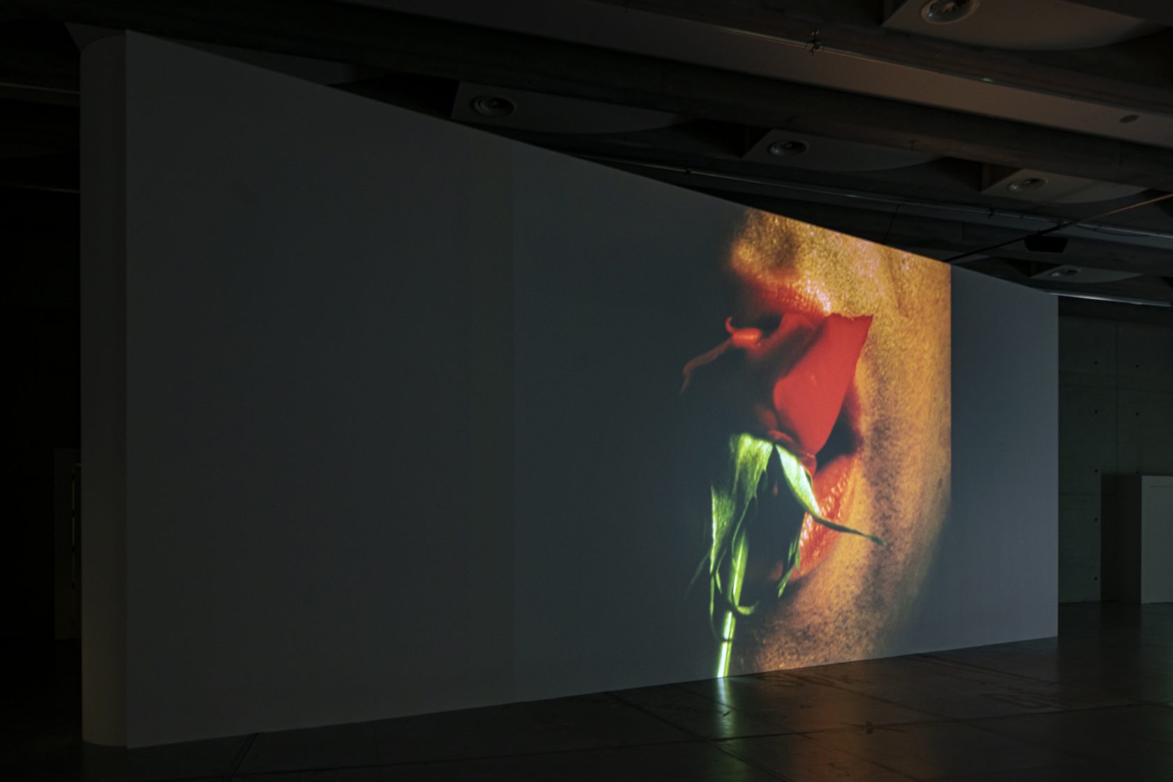 Contour en het belang van blijven bewegen