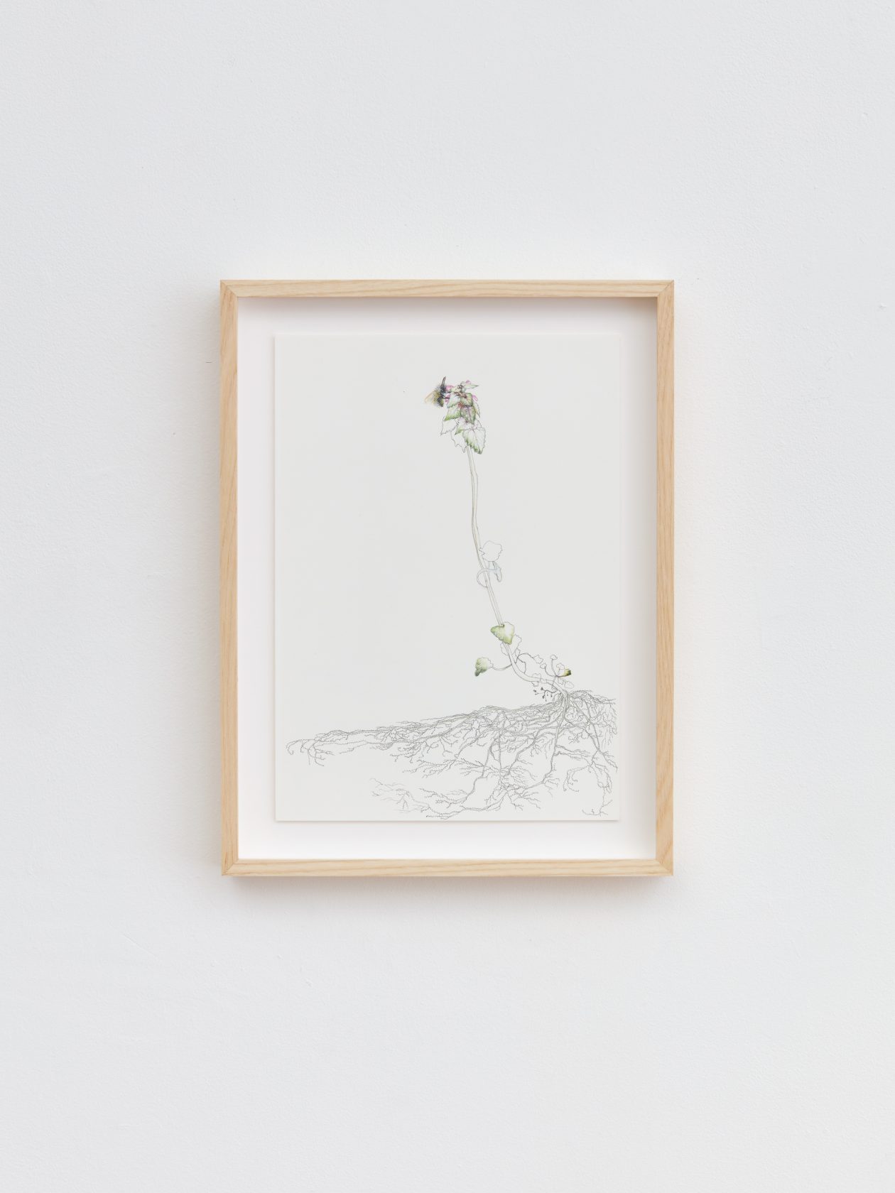 Wildgroei: weg ermee?