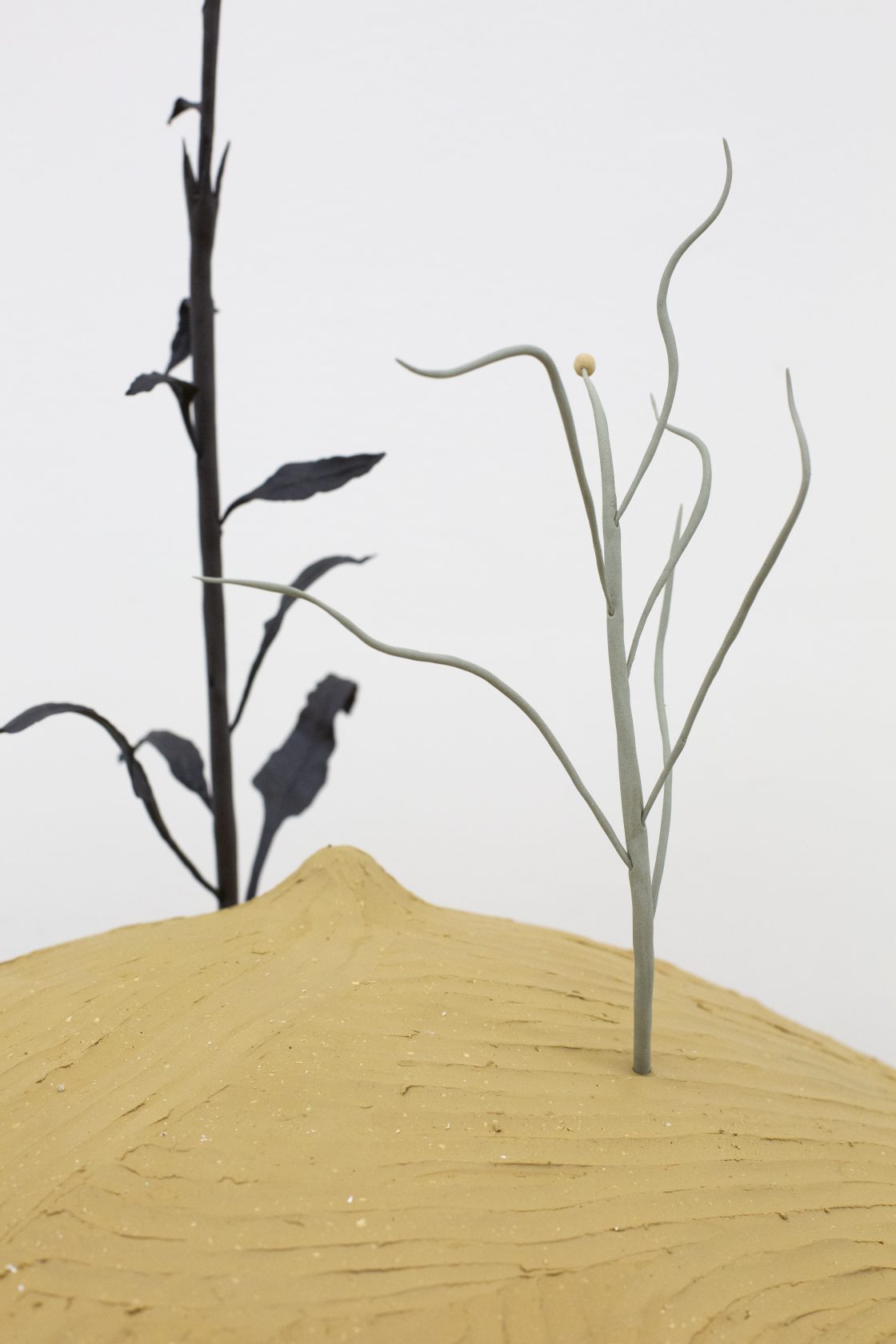 Wildgroei: weg ermee?