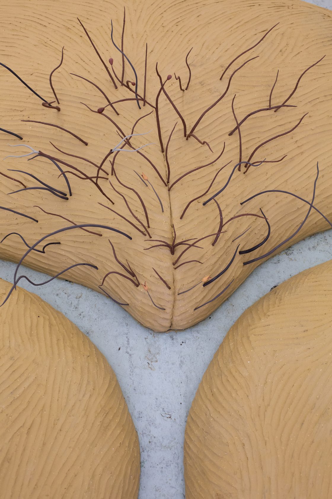 Wildgroei: weg ermee?