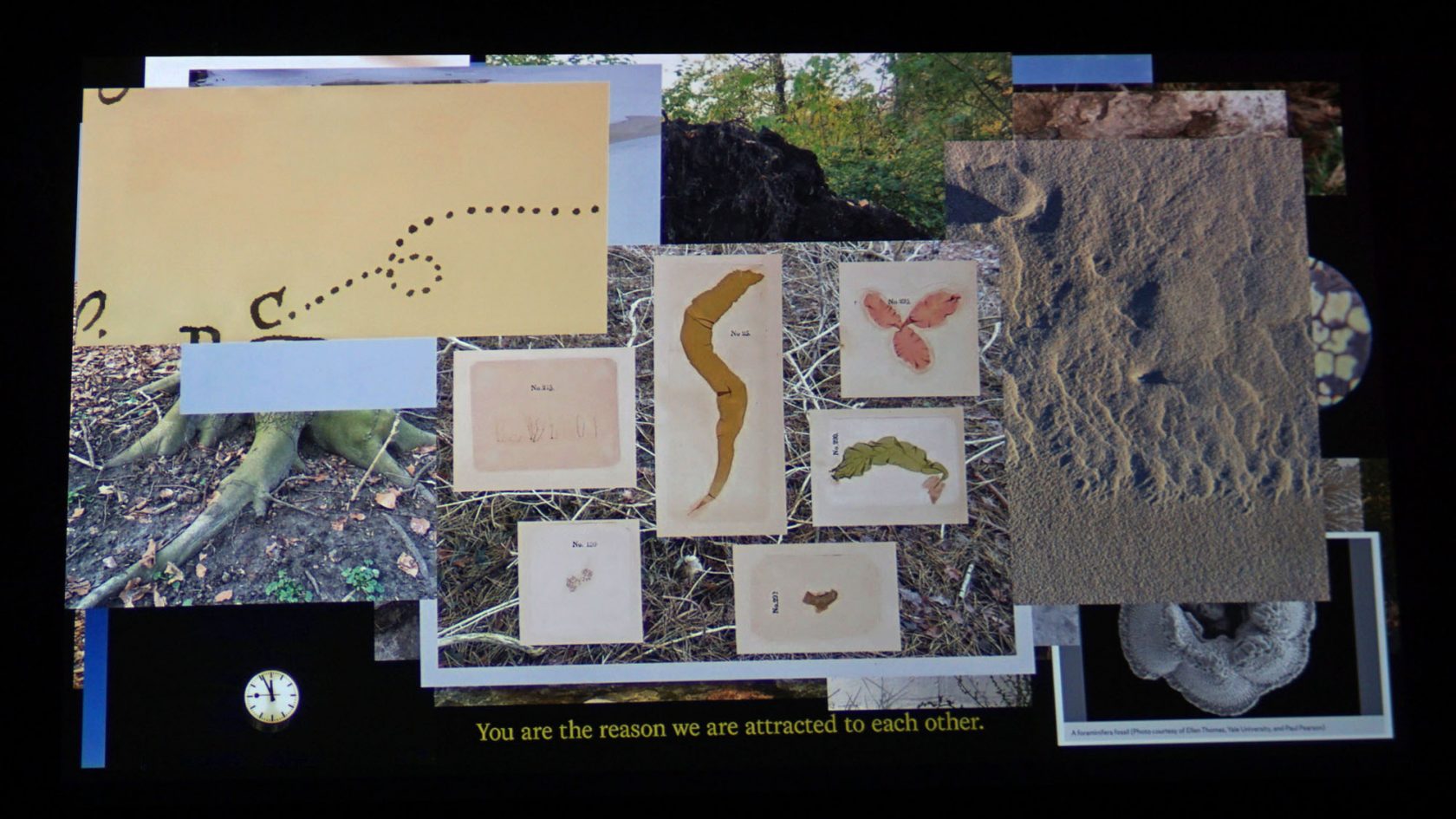 Leven in de catacomben van RADIUS