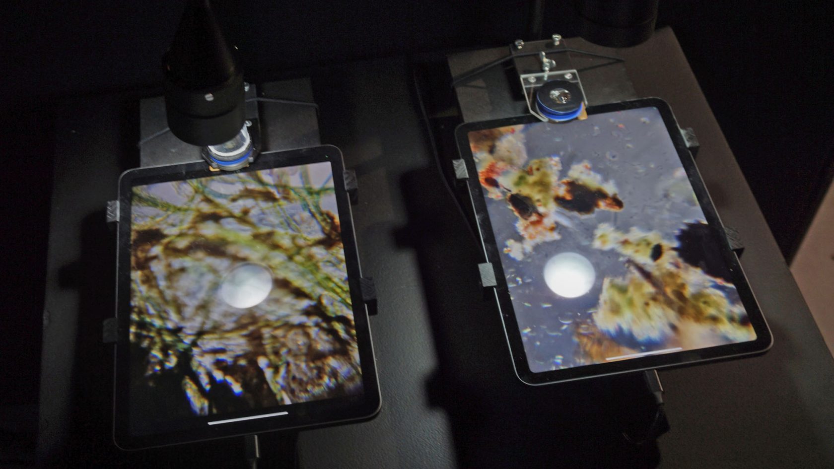 Leven in de catacomben van RADIUS