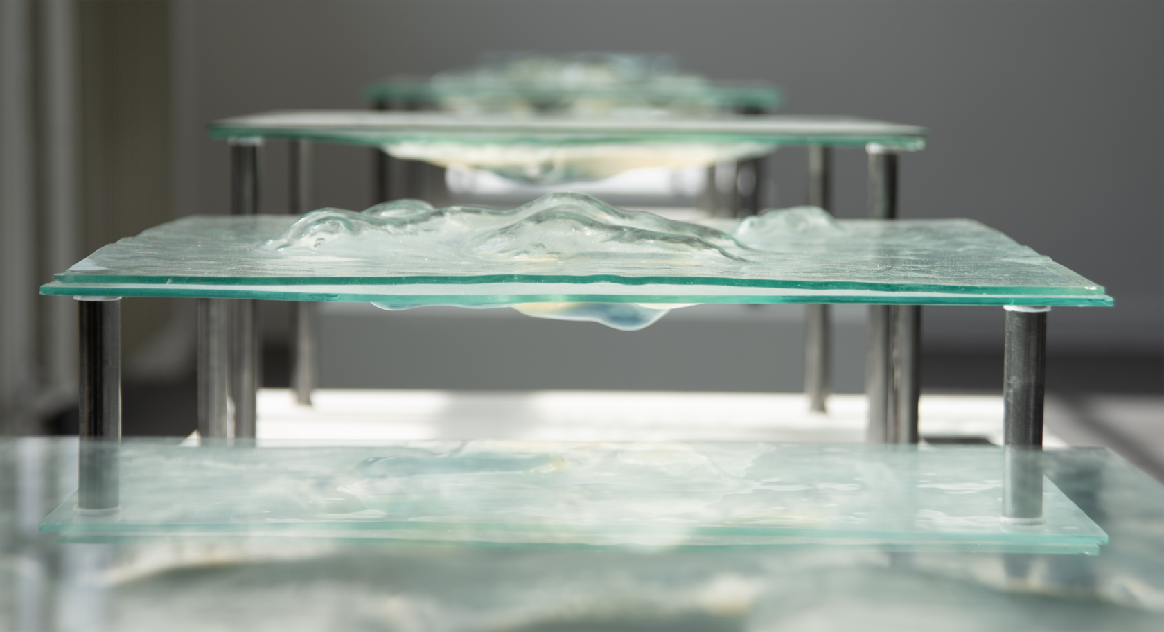 Making art with microorganisms / Interview with Ieva Maslinskaitė